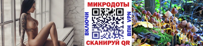 Псилоцибиновые грибы мухоморы  кракен маркетплейс  даркнет телеграм  как найти закладки  Дигора 